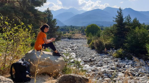 Beyond Coding: Forging Your IT Leadership Ascent